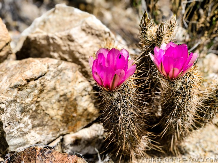 20180325-20180325-IMG_E4383