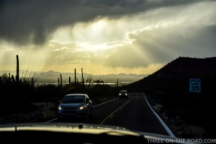 20180326-20180326-DSC_0049