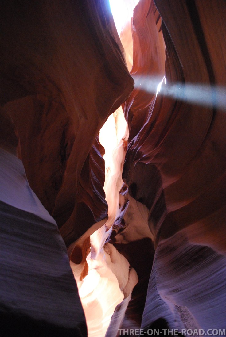 20100916-DSC_0073 (1)