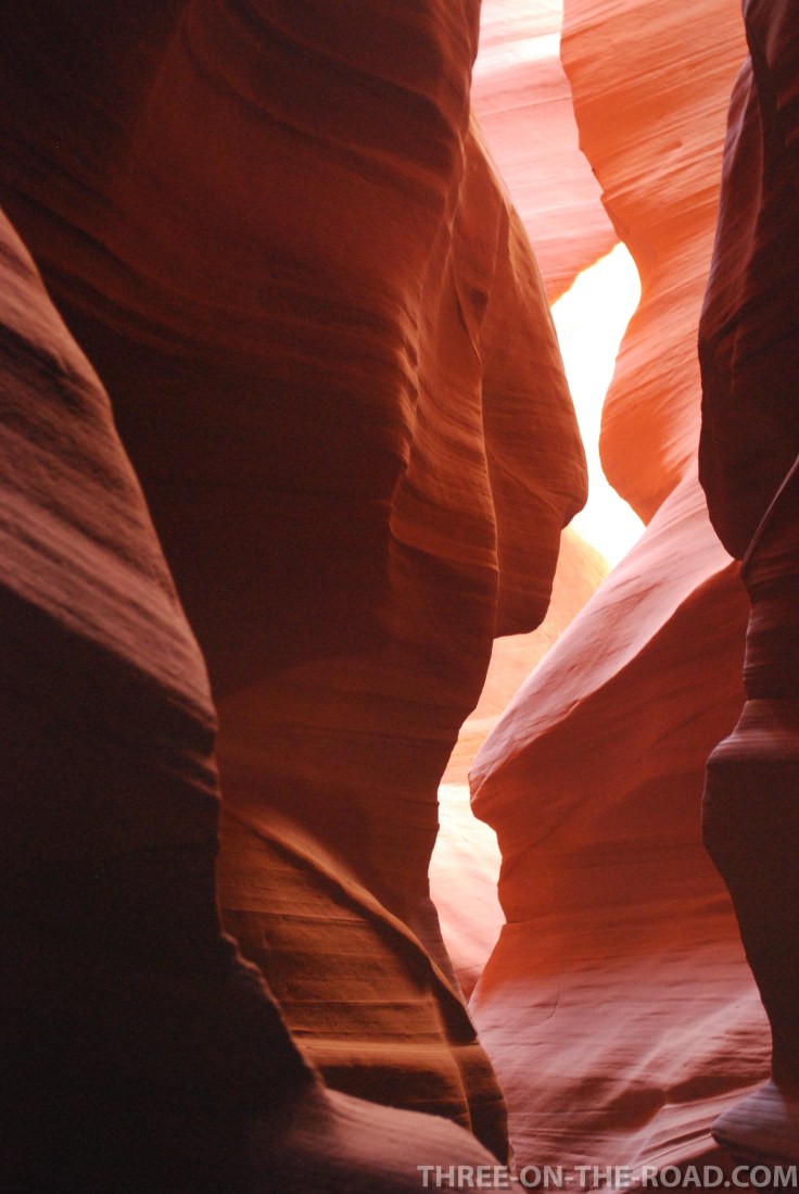 20100916-DSC_0099 (1)