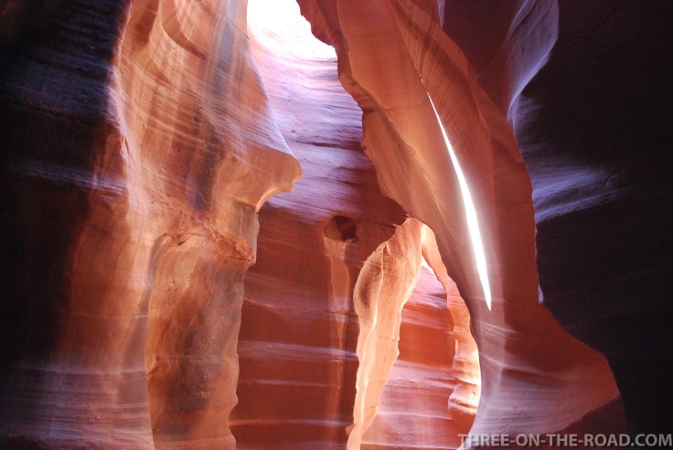 20100916-DSC_0127 (1)