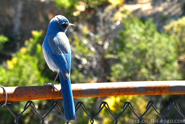 20100917-DSC_0250 (1)