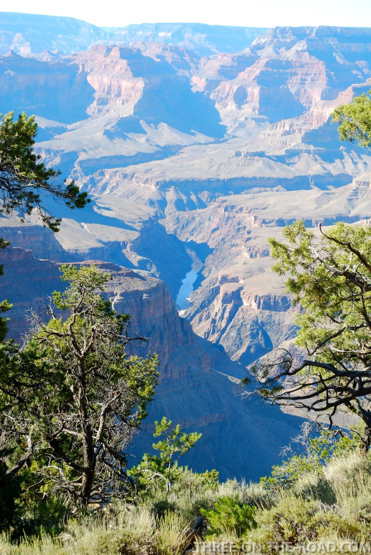 20100918-DSC_0277 (1)