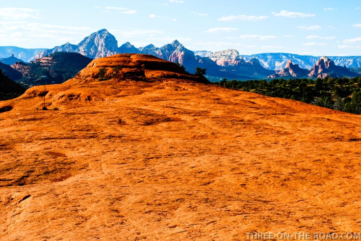 20100920-DSC_0483 (1)