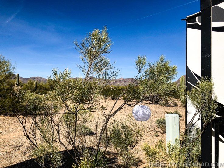 20180320-20180320-IMG_4238