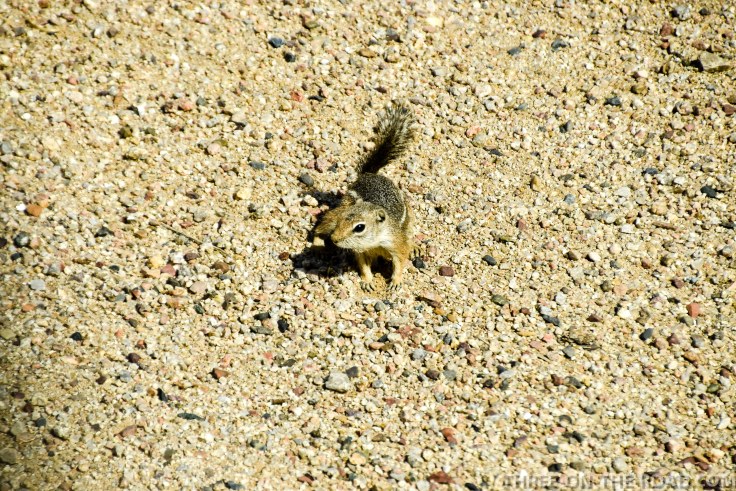 20180329-20180329-DSC_0007