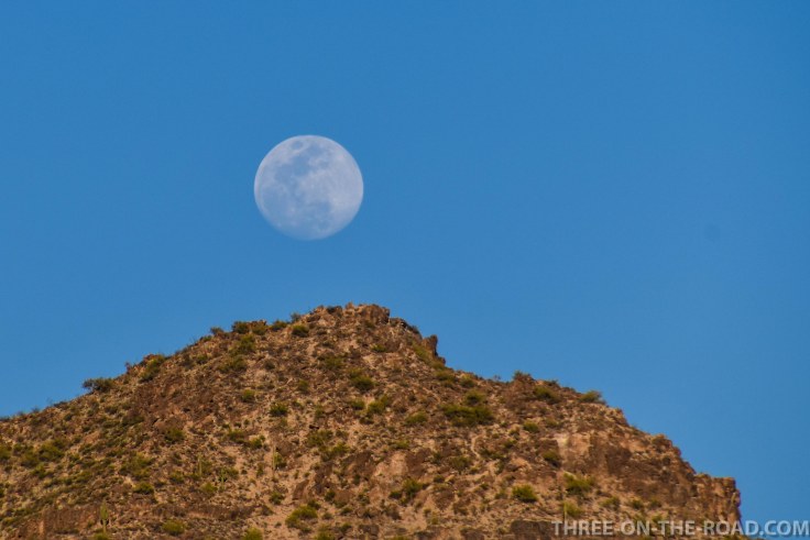 20180329-20180329-DSC_0011