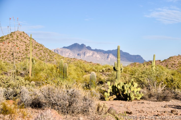 20180401-20180401-DSC_0002