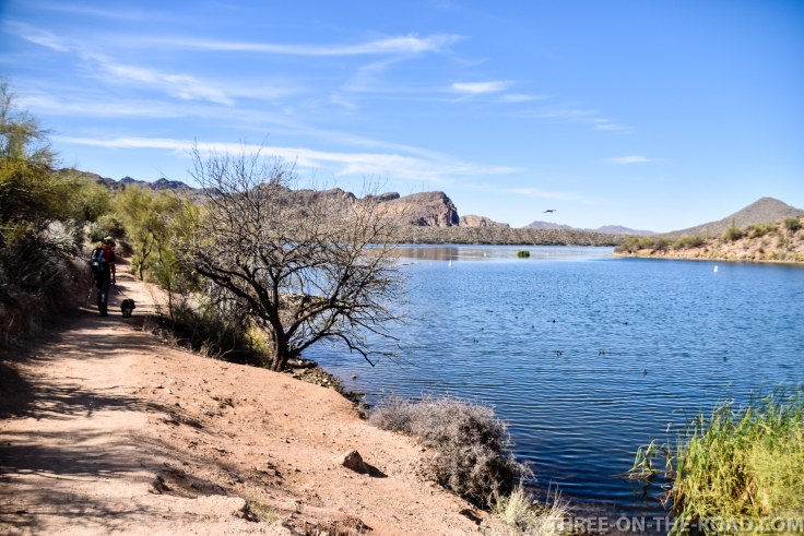 20180402-20180402-DSC_0040