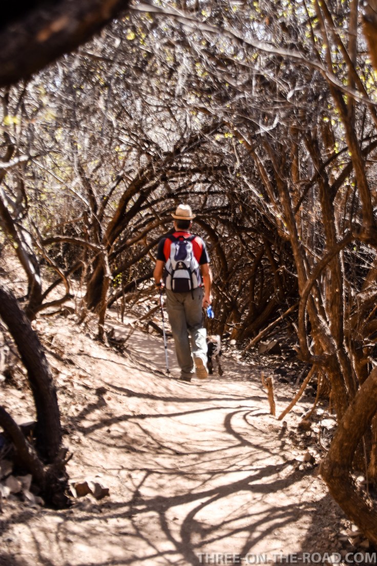 20180402-20180402-DSC_0045