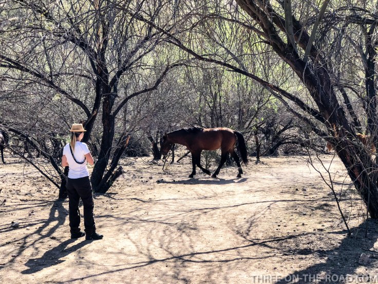 20180402-20180402-IMG_4465