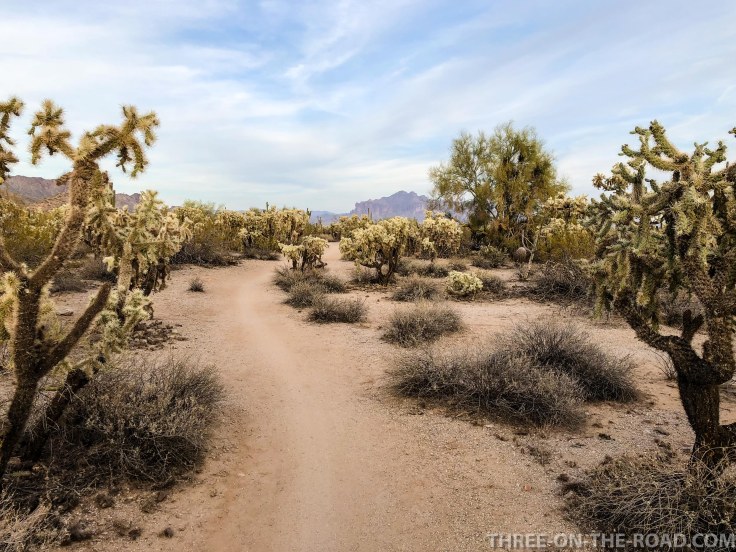 20180403-20180403-IMG_4492