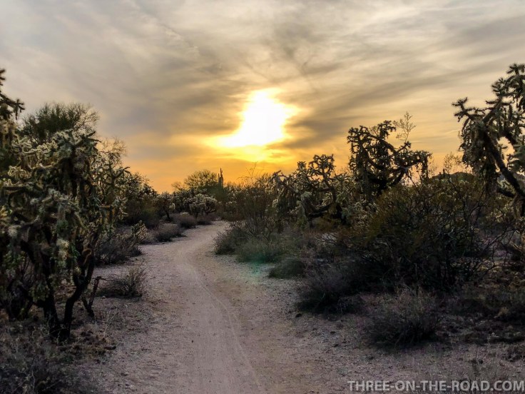 20180403-20180403-IMG_4495