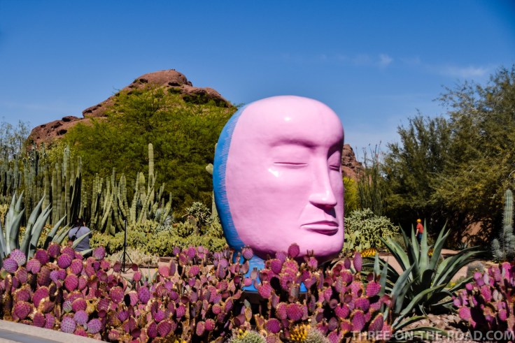 20180404-20180404-DSC_0073