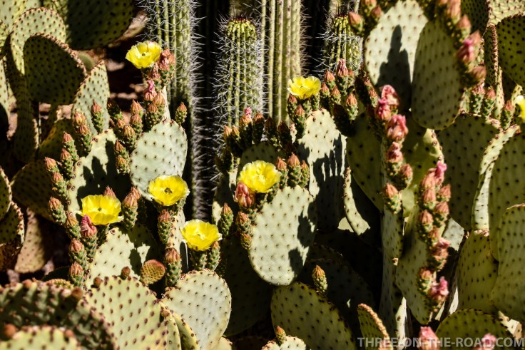 20180404-20180404-DSC_0076