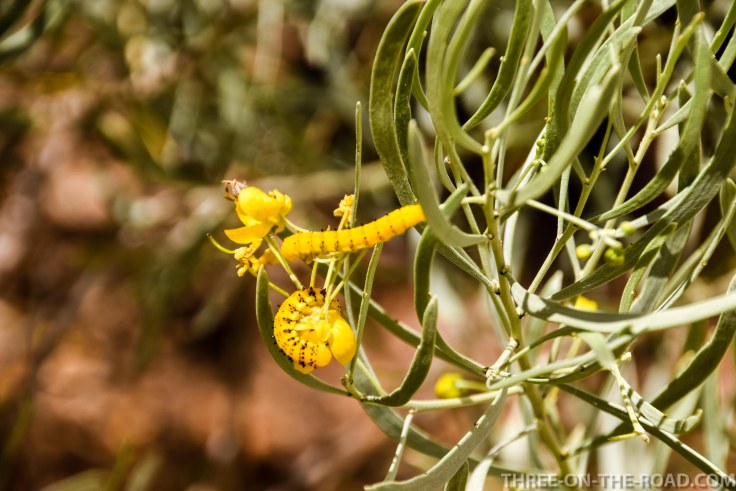 20180404-20180404-DSC_0101