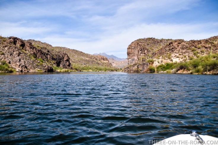 20180405-20180405-DSC_0141