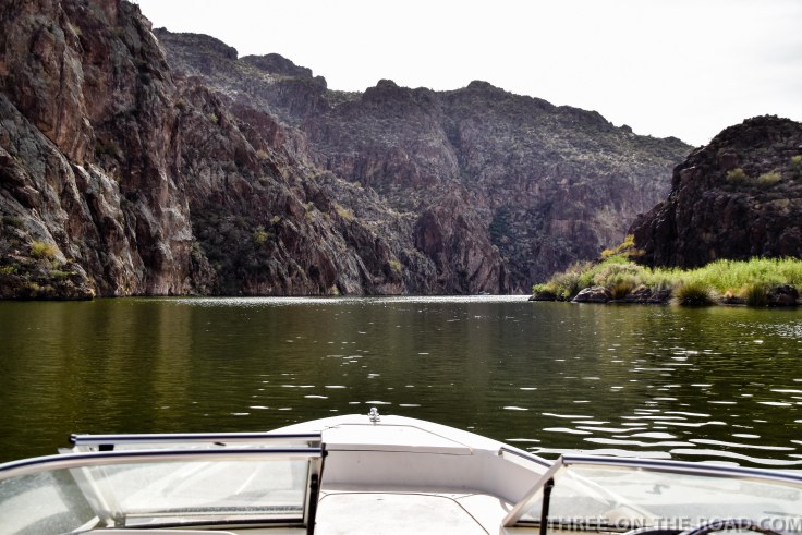 20180405-20180405-DSC_0187