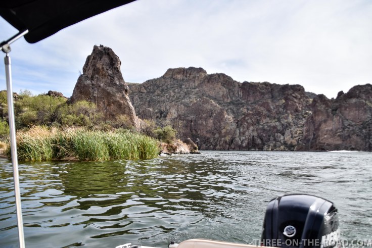 20180405-20180405-DSC_0203