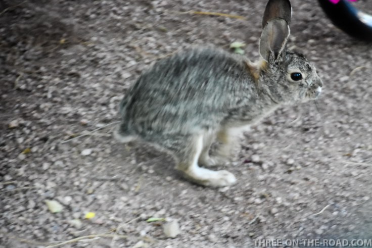 20180407-20180407-DSC_0002