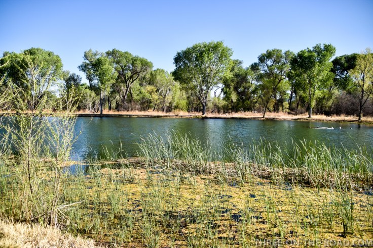 20180408-20180408-DSC_0036