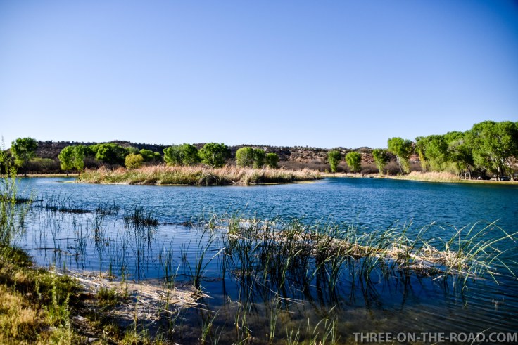 20180408-20180408-DSC_0048