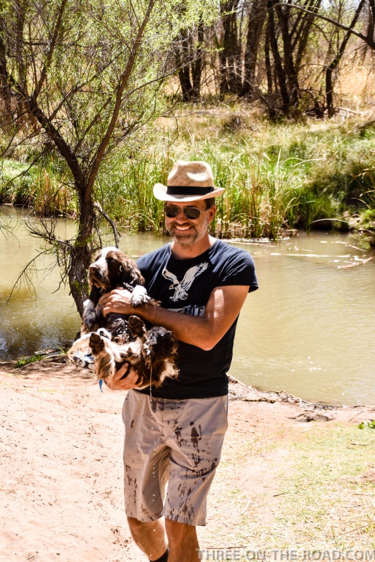 20180409-20180409-DSC_0068