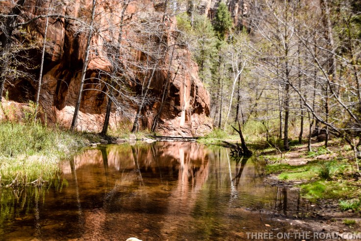 20180410-20180410-DSC_0068