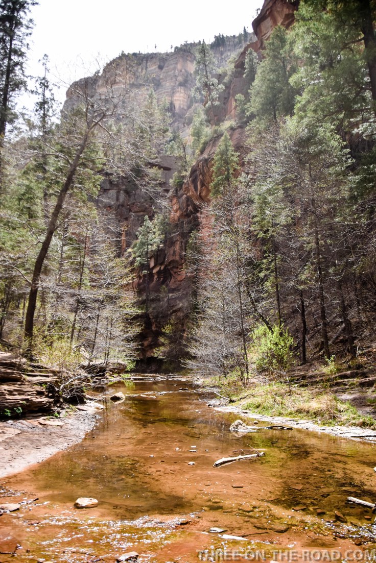 20180410-20180410-DSC_0072