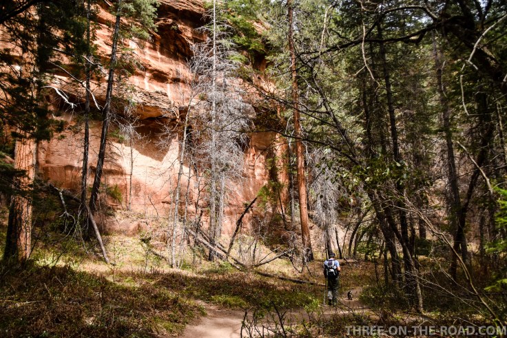 20180410-20180410-DSC_0082