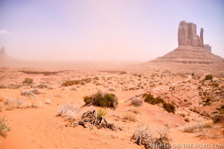 20180412-20180412-DSC_0048