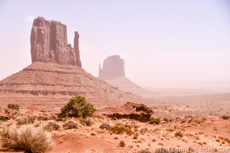 20180412-20180412-DSC_0049