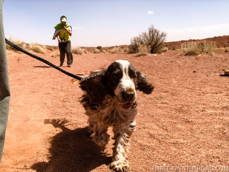 20180412-20180412-IMG_4729