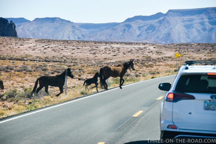 20180414-20180414-DSC_0115