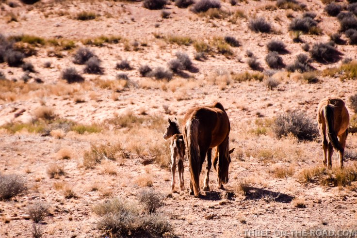 20180414-20180414-DSC_0126