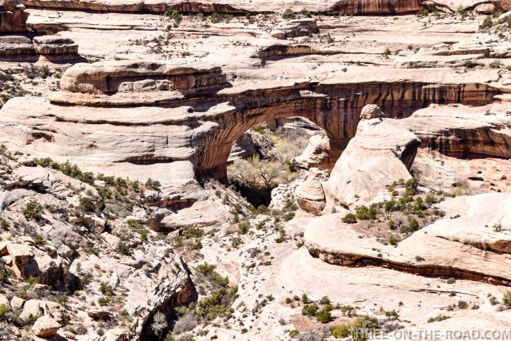 20180414-20180414-DSC_0208