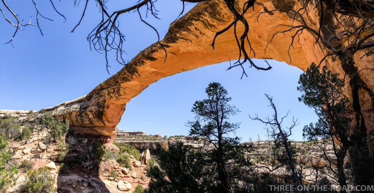 20180414-20180414-IMG_4787