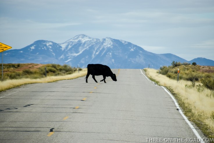 20180415-20180415-DSC_0151