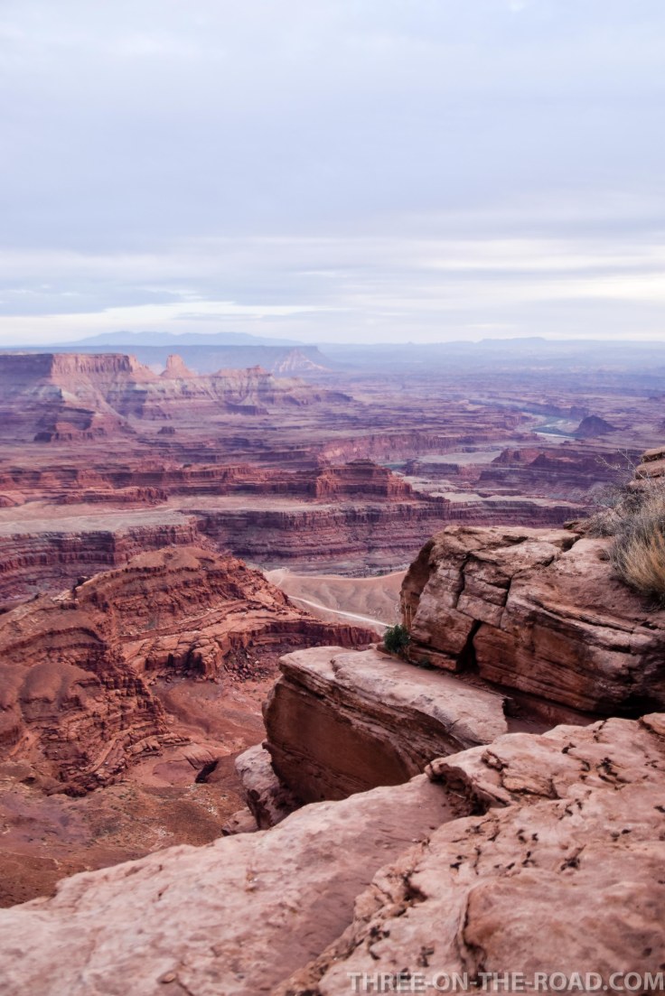 20180415-20180415-DSC_0166