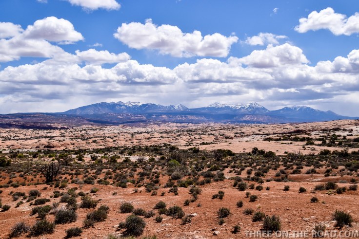 20180417-20180417-DSC_0008