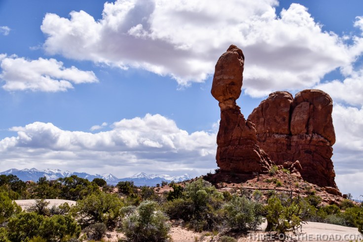 20180417-20180417-DSC_0025