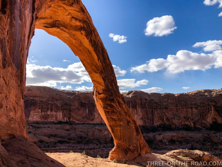 20180417-20180417-IMG_4889