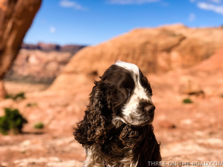 20180417-20180417-IMG_E4900