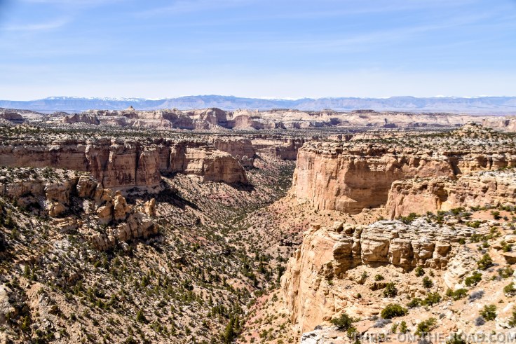 20180418-20180418-DSC_0186