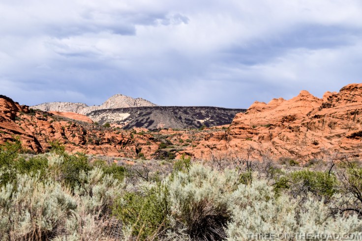 20180419-20180419-DSC_0239