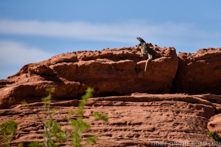 20180422-20180422-DSC_0003