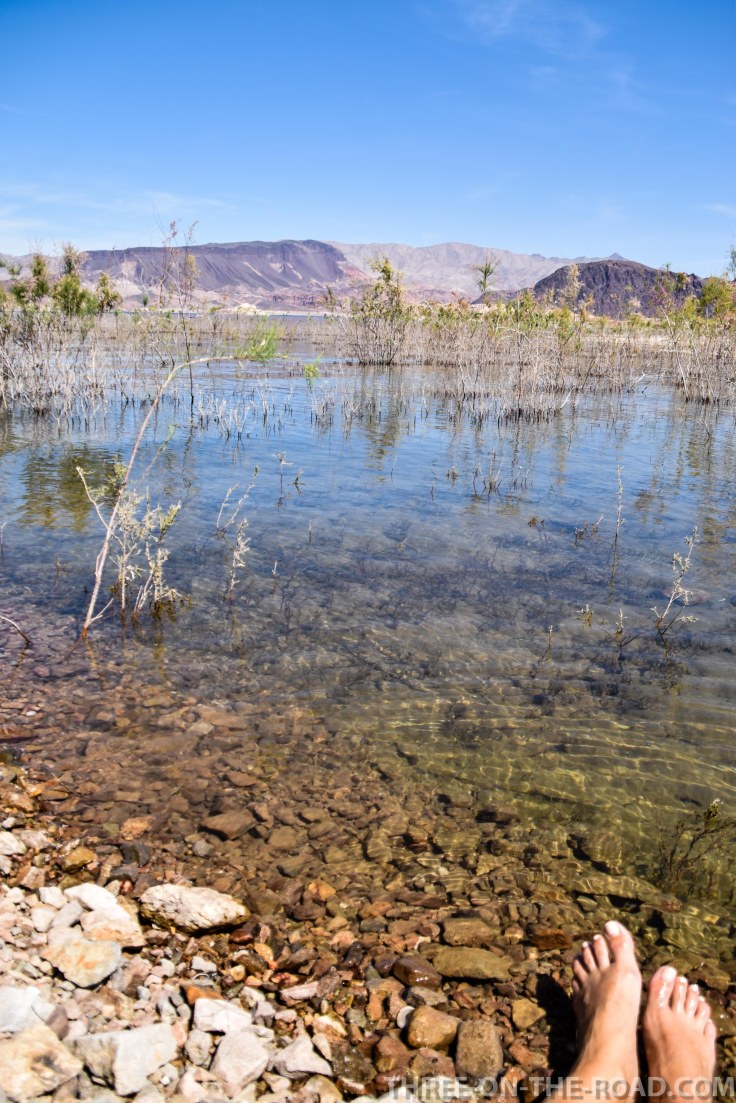 20180424-20180424-DSC_0034