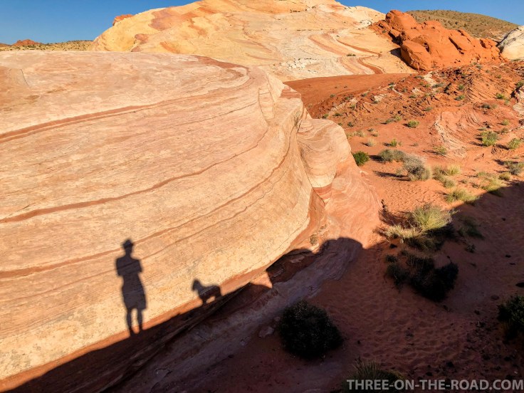 20180424-20180424-IMG_5097