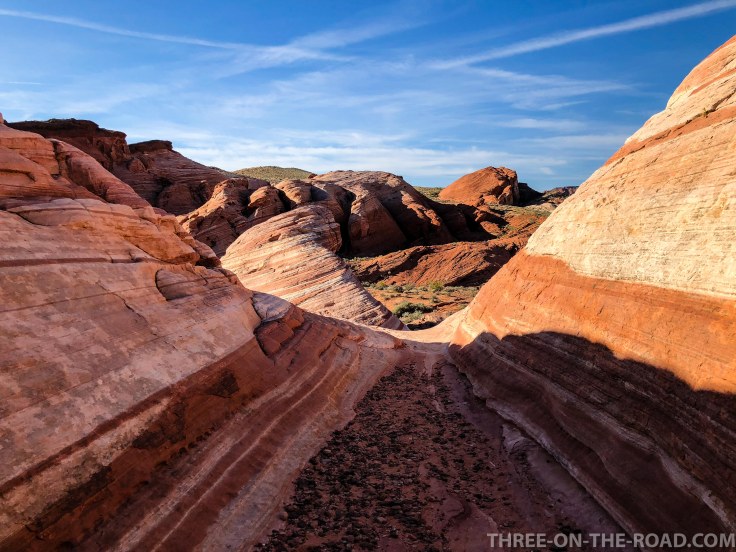 20180424-20180424-IMG_5102