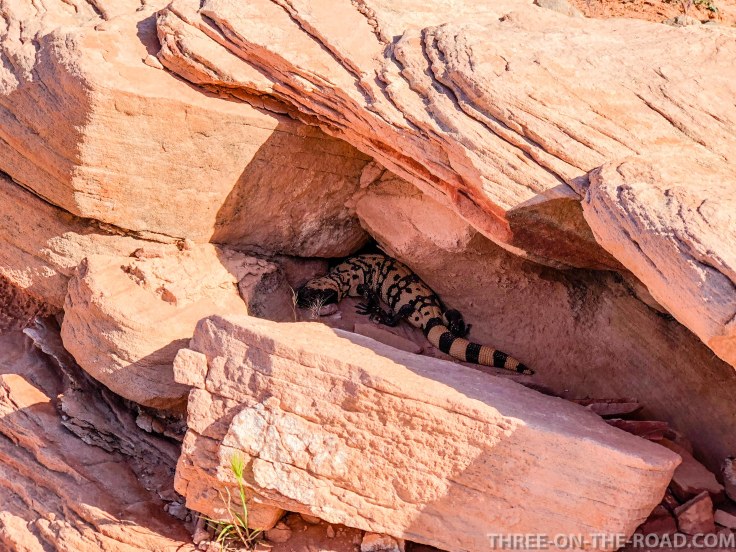 20180424-20180424-IMG_5106